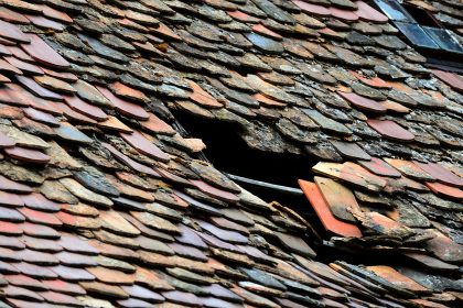 The Damage a Leaky Roof Can Do to Your Home