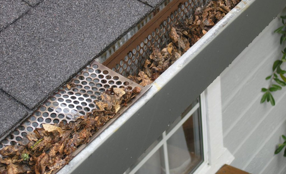 Autumn Leaves Causing Havoc? How to Care For Your Gutter