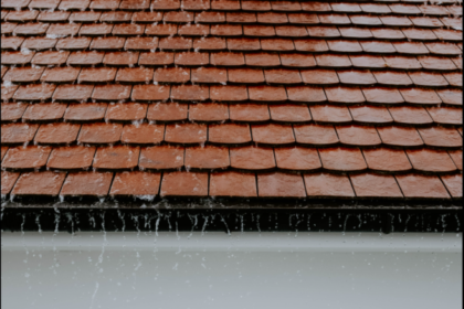 What Are the Signs of a Leaking Roof in Winter?