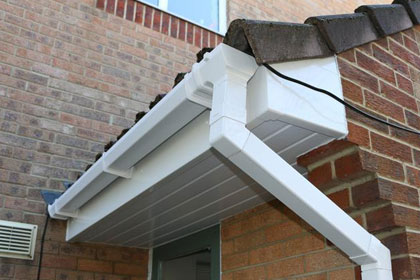 Should I Clean My Gutters in the Spring?